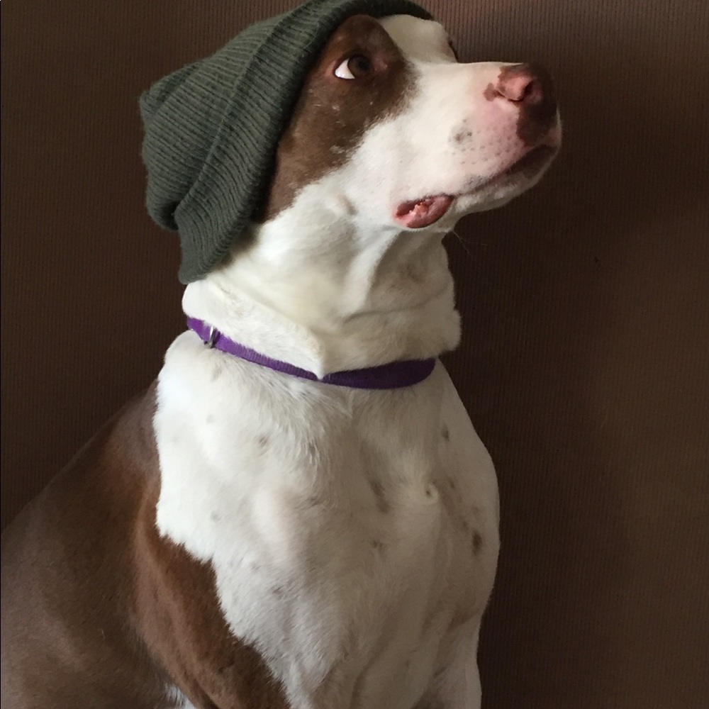 Meet your Posher, Mariah